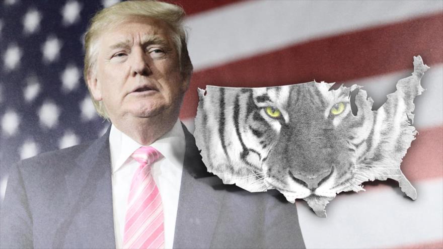 Advertencias a Trump: Irán le ve a EEUU como un tigre de papel - Hispan TV (Comunicado de prensa)
