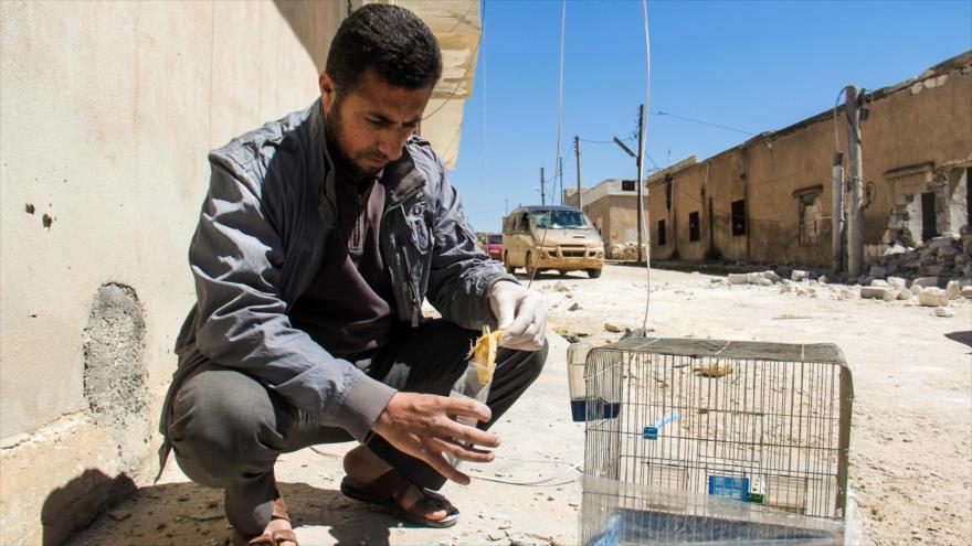 Un hombre sirio recoge muestras del gas tóxico en el sitio de un supuesto ataque químico en la localidad de Jan Sheijun, en la provincia de Idlib (noroeste de Siria), 5 de abril de 2017.