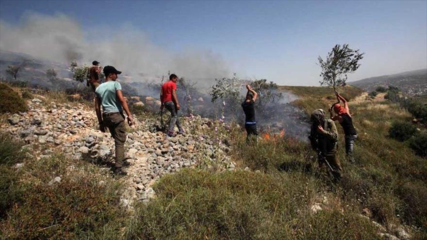 Los palestinos tratan de apagar el fuego en tierras agrícolas en Burin, en Cisjordania, 10 de mayo de 2017.