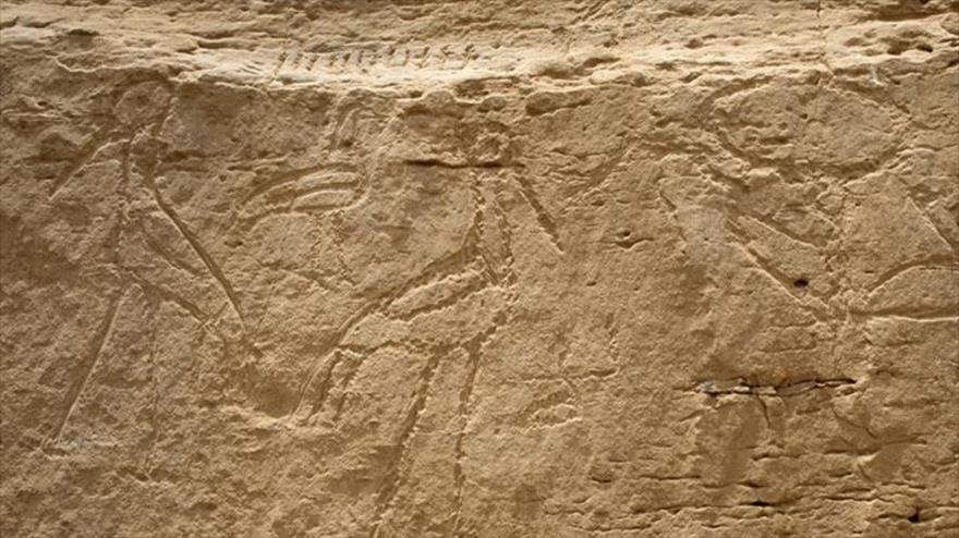 Descubren jeroglíficos de gran tamaño realizados hace 5.200 años en Egipto