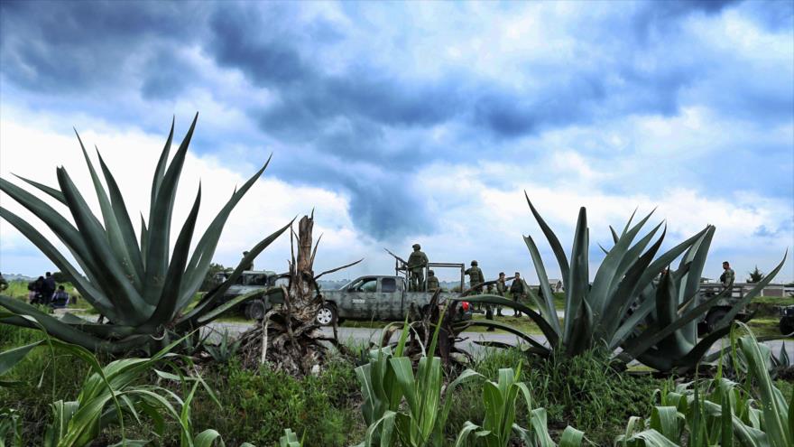 Soldados mexicanos vigilan un campo de adormidera en el término municipal de Hueyotlipan (estado central de Tlaxcala), 25 de julio de 2017.