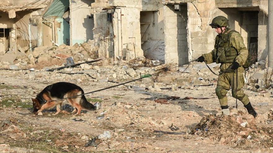 Un especialista ruso en desmantelamiento de minas antipersona y su perro rastreador en Alepo, Siria.