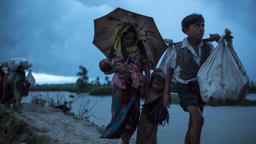 Familias desplazadas rohingyas cruzan el río fronterizo con Bangladés en busca de refugio en el país vecino.