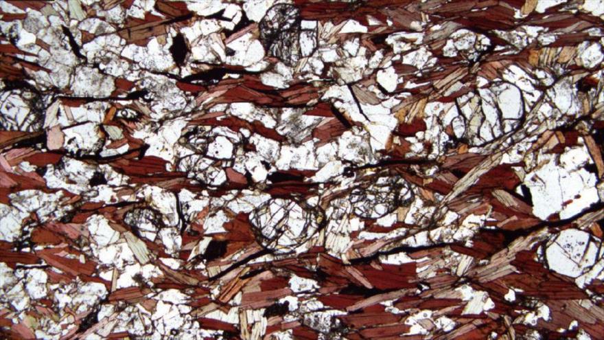 Fragmento de una de las rocas halladas en Canadá, visto al microscopio. Los fragmentos negros son incrustaciones de grafito de origen biológico.
