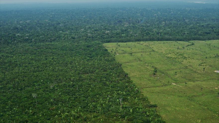 Vista aÃ©rea de obras de deforestaciÃ³n en la regiÃ³n occidental amazÃ³nica de Brasil, 22 de septiembre de 2017.