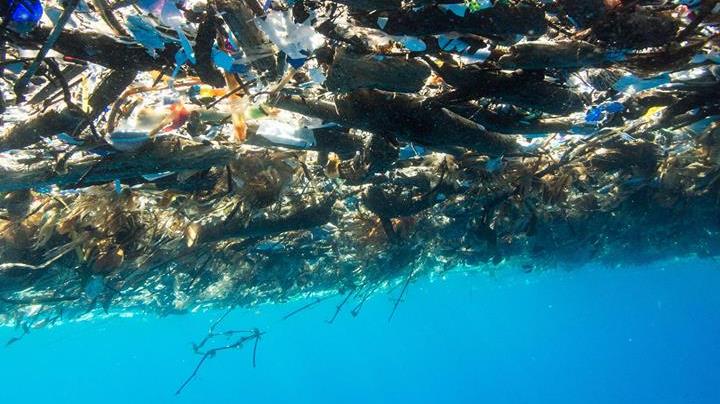 Fotos: Descubren estremecedor 'mar de plástico' en el Caribe ...