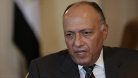 “La cuestión palestina, principal prioridad de Egipto”