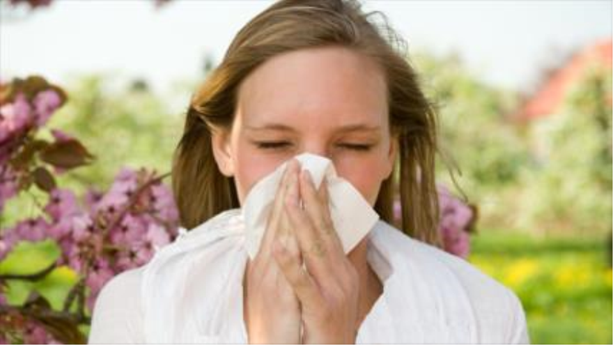 Descubren 34 nuevos genes que podrían tratar alergias y el asma | HISPANTV