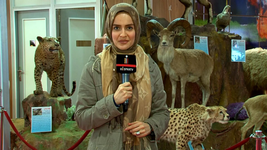 Irán acoge XIV Feria Internacional de Medio Ambiente