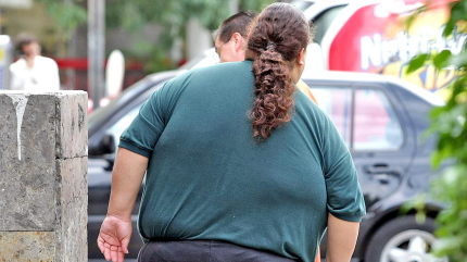 OMS insta a reducir el consumo de azúcares en adultos y niños 