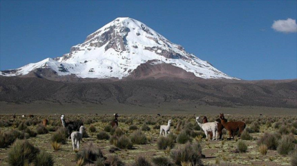FAO destaca el valor de los ecosistemas bolivianos