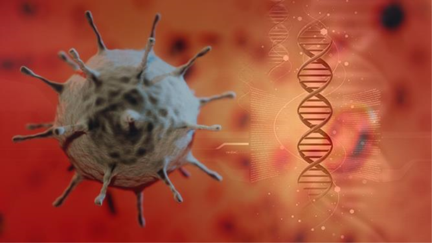 Científicos han conseguido eliminar los fragmentos del virus de VIH de nuestro ADN 
