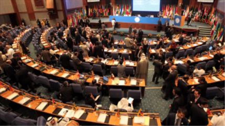 Una sesión de los miembros del Movimiento No Alineado, (MNA) 