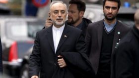 ‘Irán y EEUU han resuelto 90 % de temas técnicos nucleares’