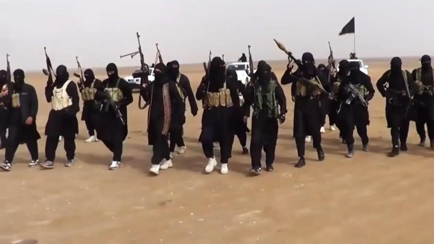 Los elementos del grupo takfirí EIIL (Daesh, en árabe)