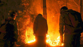 Incendios forestales afectan casi 11.000 hectáreas en Chile 