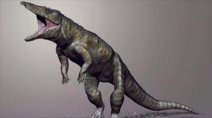 Hallan restos fósiles de gigantesco antecesor de los cocodrilos 