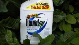 OMS revela que herbicida de Monsanto puede ser cancerígeno