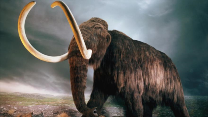 Científicos dan un paso hacia la posibilidad de revivir a mamuts