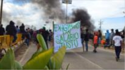 Jornaleros mexicanos continúan paro en demanda de mejoras salariales 