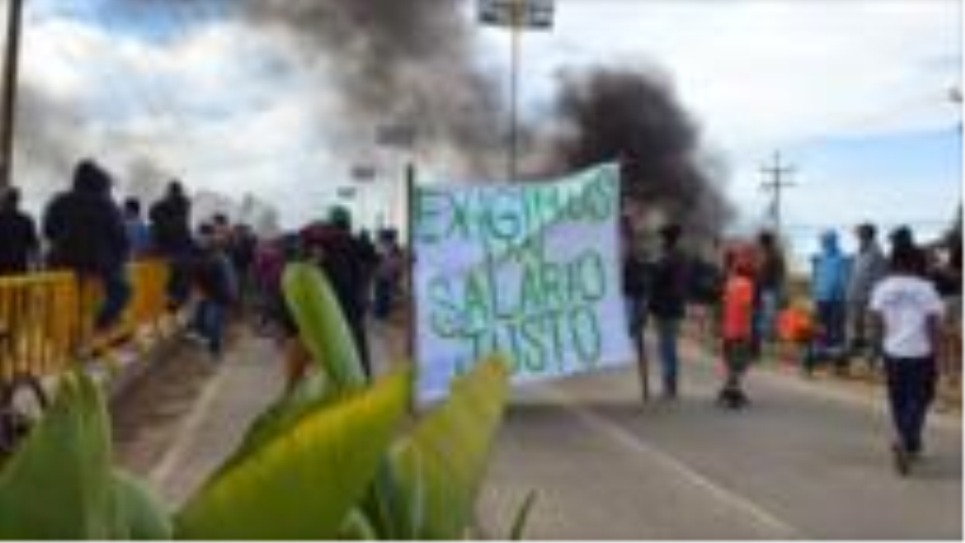 En la región del Valle de San Quintín, en Baja California, continúan las protestas de trabajadores jornaleros