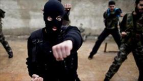 ONU: Terroristas extranjeros reciben entrenamiento en Irak y Siria