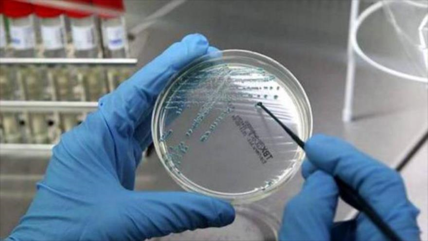 Hallan en EE.UU. una “superbacteria” resistente a los antibióticos que se expande por el aire y “es capaz de recorrer largas distancias”