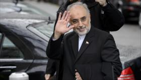 Salehi: Acuerdo marco entre Irán y G5+1 es 