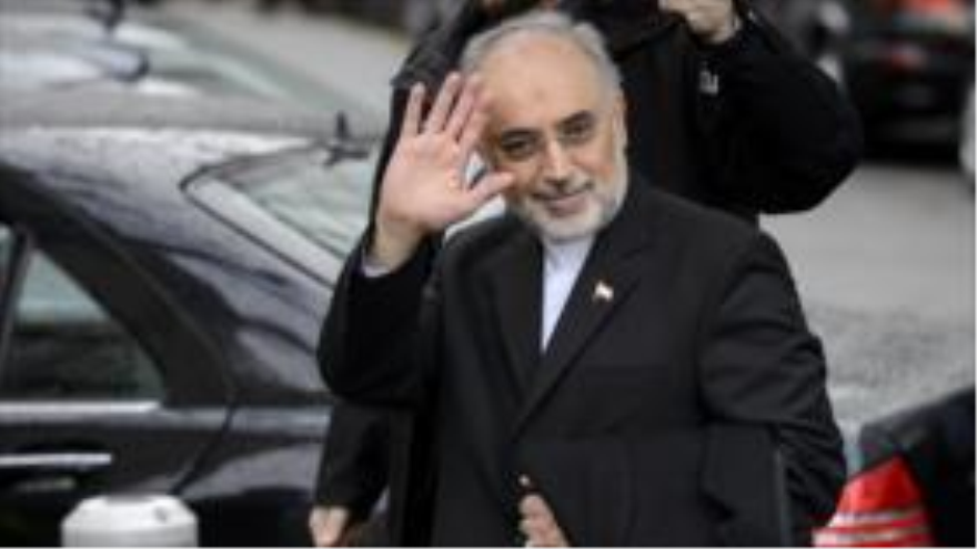 El jefe de la OEAI, Ali Akbar Salehi