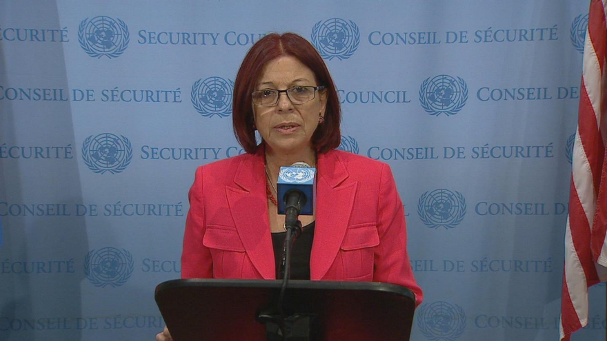 La representante permanente de Argentina ante la ONU, María Cristina Perceval 