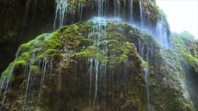 Irán - 1- ¨13 Fuera¨ 2- Palacio de Sad Abad 3- Aspectos de Iran: Sarv-e Abarkuh