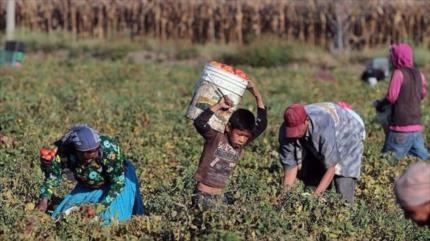 2 millones de mexicanos sufren de semiesclavitud