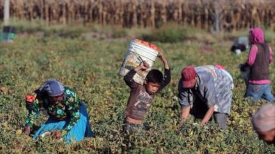 2 millones de personas son víctimas de semiesclavitud en México