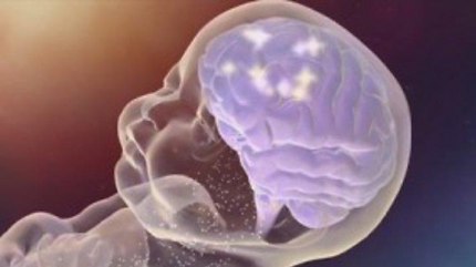 Exposición prenatal a contaminación afecta desarrollo cerebral