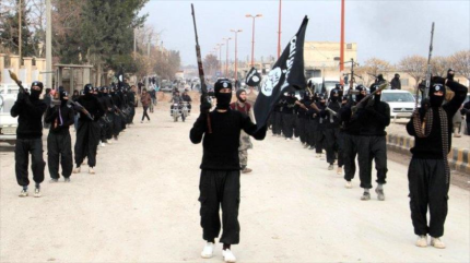 De 5 000 y 6 000 europeos luchan junto a los terroristas en Siria