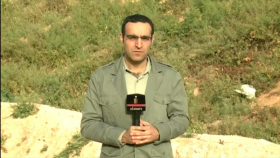 Ejército sirio logra avances contra terroristas en Al-Qalamoun