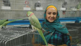 Irán - 1. El museo de Arte Gráfico 2. Aves cantoras 3. Comidas y aperitivos tradicionales iraníes