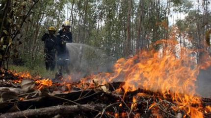 Incendios ponen a Honduras al borde de emergencia nacional