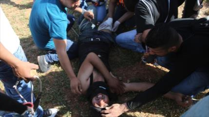 Fuerzas israelíes hieren de bala a 5 palestinos 