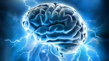 Crean una herramienta para ver imágenes del dolor en el cerebro