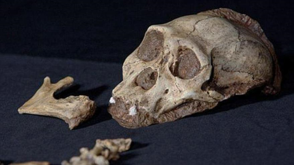 Pruebas de ADN de huesos revelan cómo fue poblada Sudamérica 