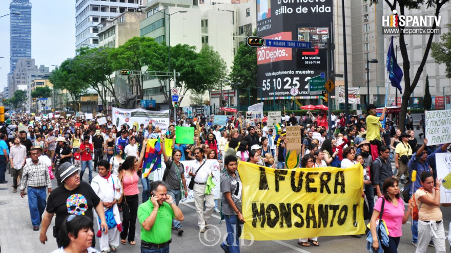 La marcha contra la empresa estadounidense Monsanto se celebra por tercer año consecutivo.