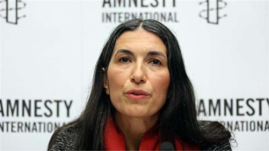 La secretaria general de la sección alemana de AI, Selmin Caliskan