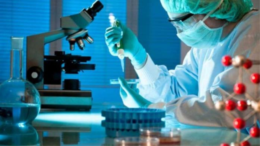 Hallan nuevo gen responsable de discapacidad intelectual y autismo | HISPANTV