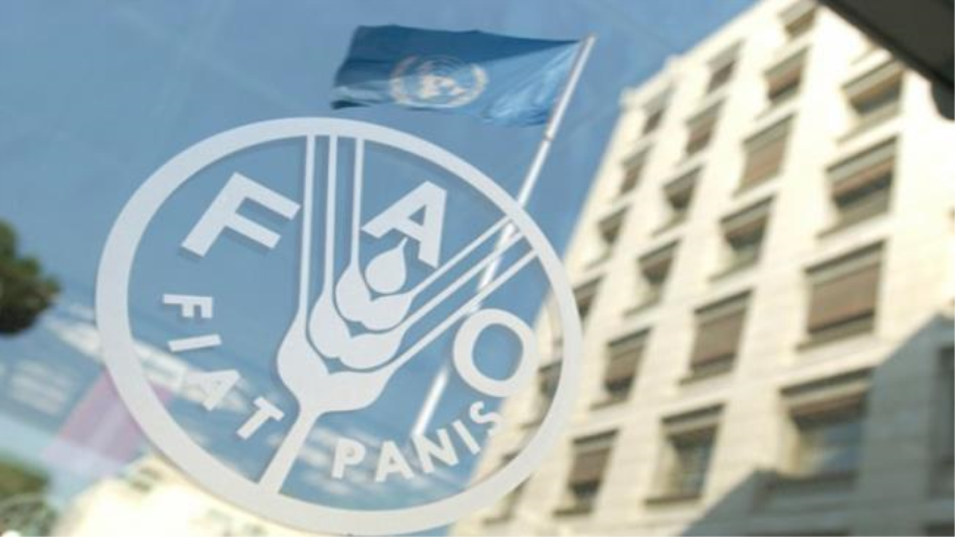 La Organización de las Naciones Unidas para la Agricultura y la Alimentación (FAO).