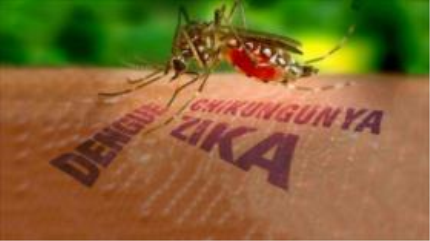 Zika, el nuevo virus que amenaza a América Latina