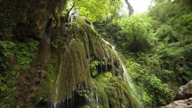 Irán - 1. La vida salvaje en Qeshm 2. Atracciones turísticas de Golestan 3. Lugares religiosos de Isfahán 4. Aspectos de Irán: Darband