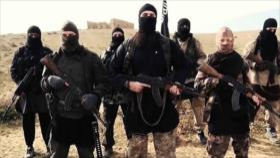 Al-Nimr: EIIL ejecuta políticas de agencias de espionaje occidentales