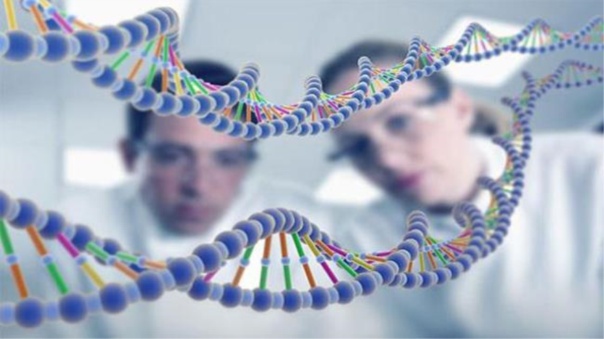 Científicos descubren un nuevo mecanismo para reparación del ADN | HISPANTV