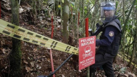 Ejército colombiano y las FARC retoman desminado